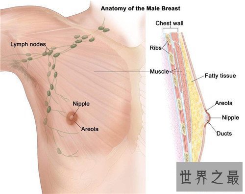 【图】乳腺癌骨转移能治疗吗 怎么可能疼痛缓解