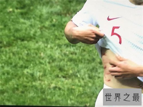 【图】九阴白骨爪依据九阴真经练成 世界杯惊现九阴白