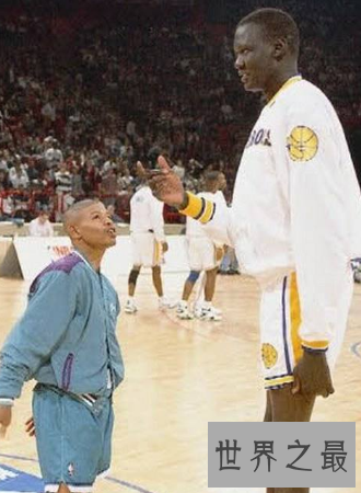 【图】nba最矮的球员怎么的辛劳能力培育昔日的辉煌