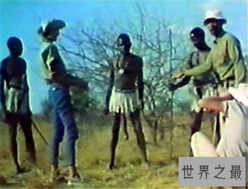 【图】象人族阴茎长的缘由 原来竟是和生存饮食无关