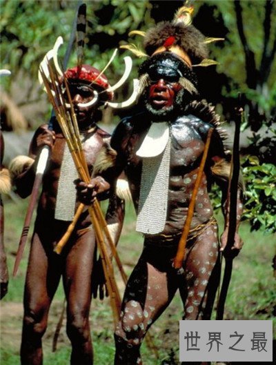 【图】象人族阴茎长的缘由 原来竟是和生存饮食无关