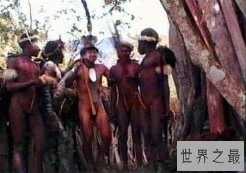 【图】象人族阴茎长的缘由 原来竟是和生存饮食无关