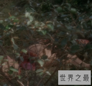 【图】世界悬疑黑色大丽花惨案 凶手竟是杀人如麻的医