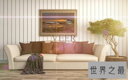 【图】意大利家具哪种的品牌最好 销量好吗