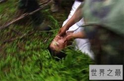 【图】孟照国事件真相大白 堪称自己与外星人做爱