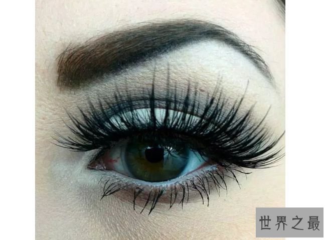眼睛和睫毛
