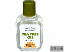 【图】治疗蚊虫叮咬的十大家庭疗法 洋葱和大蒜也上榜