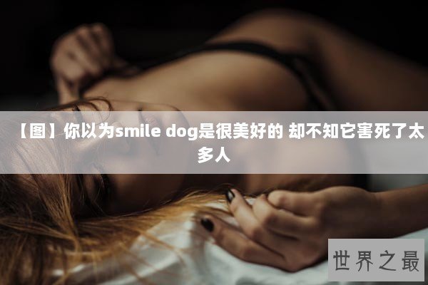 【图】你以为smile dog是很美好的 却不知它害死了太多人