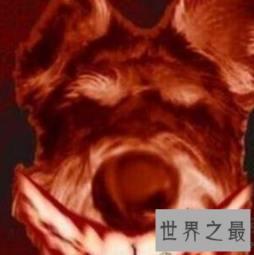 【图】疯狂流传浅笑狗恐怖症 竟曾有太多人抑郁到自杀