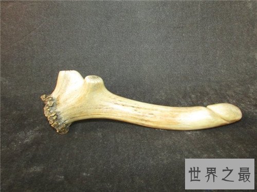 【图】角学生的历史记录引见 现代成人用品设计很科学