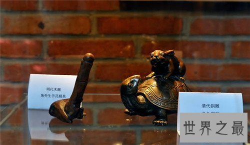 【图】角学生的历史记录引见 现代成人用品设计很科学