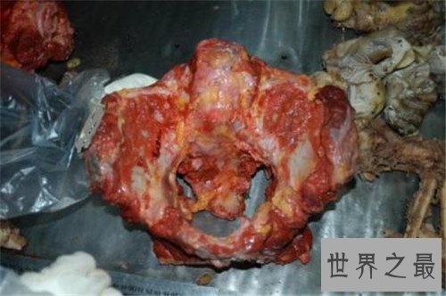 【图】南大碎尸案破解了吗 网友对其推理破绽百出