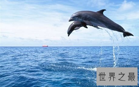 【图】陆地科学业余最好的类目及失业前景高校排名