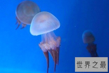 【图】陆地科学业余最好的类目及失业前景高校排名