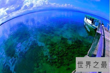 【图】陆地科学业余最好的类目及失业前景高校排名