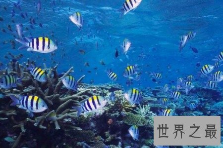 【图】陆地科学业余最好的类目及失业前景高校排名