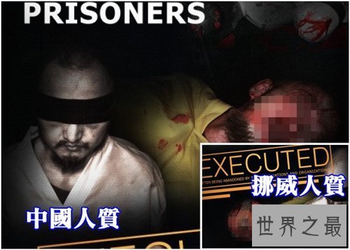 【图】樊京辉为什么被ISIS抓走 樊京辉死亡缘由被质疑