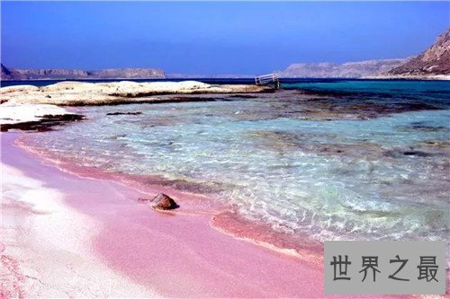 【图】粉色沙滩位于什么中央 构成缘由并不是人为的