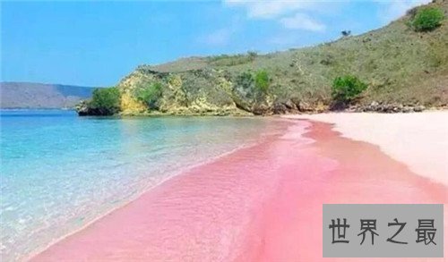 【图】粉色沙滩位于什么中央 构成缘由并不是人为的