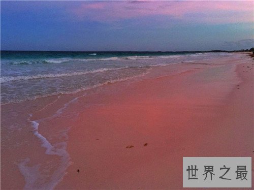 【图】粉色沙滩位于什么中央 构成缘由并不是人为的