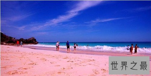 【图】粉色沙滩位于什么中央 构成缘由并不是人为的
