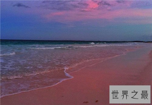 【图】粉色沙滩位于什么中央 构成缘由并不是人为的