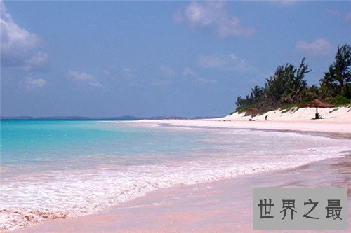 【图】粉色沙滩位于什么中央 构成缘由并不是人为的