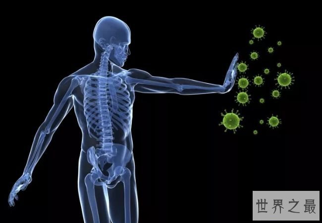 良好的免疫系统