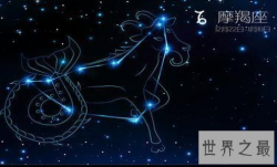 【图】十二星座之最 过于理性的萌羯篇