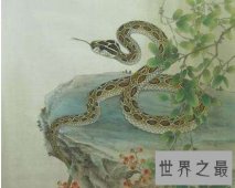 【图】一生命好的三个生肖！一辈子啥都不愁