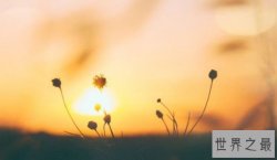 【图】最喜欢玩暧昧的五大星座 小白兔最好要远离！