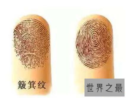 手指上有七个斗