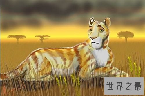 当男人不在乎本人的表面的时分