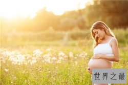 【图】孕妇钙片哪个牌子好 孕期补钙对妈妈和孩子都很