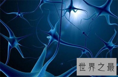 【图】看了心思学业余失业前景 如今转业余还来得及吗