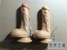 【图】阳具图真实高清遍布网络 全球阴茎尺寸排行榜介