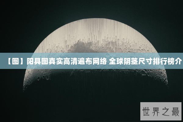 【图】阳具图真实高清遍布网络 全球阴茎尺寸排行榜介