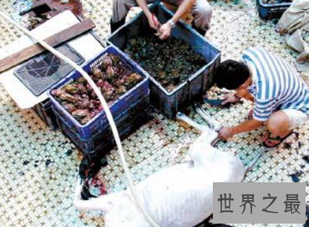 【图】浇驴肉一般驴肉馆子绝对不敢做的食物