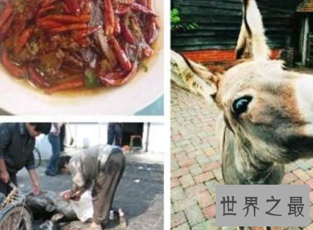 【图】浇驴肉一般驴肉馆子绝对不敢做的食物