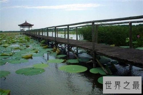 【图】武汉周边旅行景点都有哪些 多处人造景色流连忘