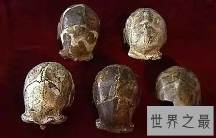 【图】此中国国宝非彼国宝 至今仍然着落不明