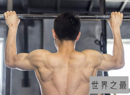 【图】引体向上视频快点扭转你往常的谬误动作