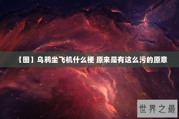 【图】乌鸦坐飞机什么梗 原来是有这么污的原意 【图】乌鸦坐飞机什么梗 原来是有这么污的原意