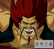 【图】乌鸦坐飞机什么梗 原来是有这么污的原意