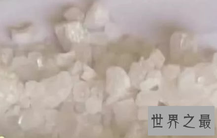 【图】世纪毒王陈炳锡竟是脚踩单车去贩卖毒品的