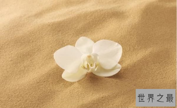 天秤座女和双子男