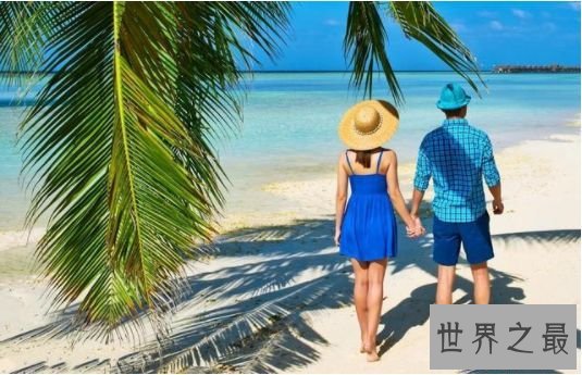 天秤座和处女座