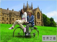 【图】天秤座和什么座最配 能和天秤座白首不相离的星