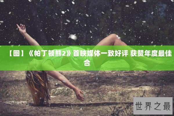 【图】《帕丁顿熊2》首映媒体一致好评 获赞年度最佳合 【图】《帕丁顿熊2》首映媒体一致好评 获赞年度最佳合