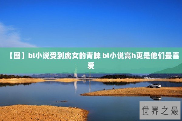 【图】bl小说受到腐女的青睐 bl小说高h更是他们最喜爱 【图】bl小说受到腐女的青睐 bl小说高h更是他们最喜爱